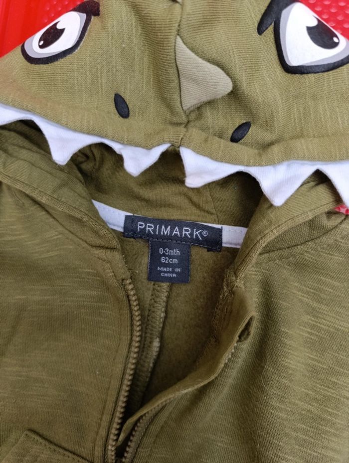 Gilet dinosaure - photo numéro 2