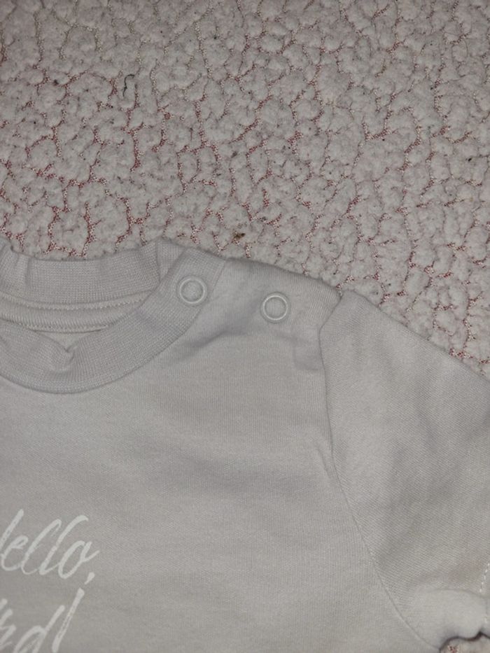 Tee-shirt panpan - photo numéro 4