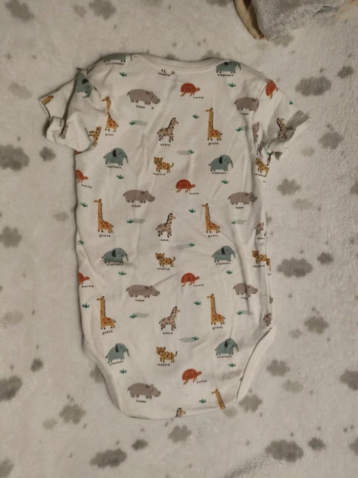 Body 12 mois manche courte - photo numéro 10