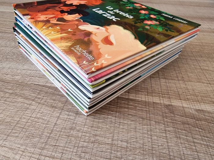 Lot de livres collection "Merveilles de France" - photo numéro 4
