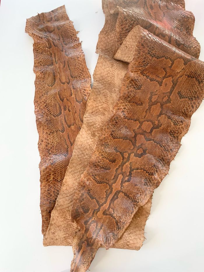 Véritable peau de serpent 🐍 tannée - photo numéro 5