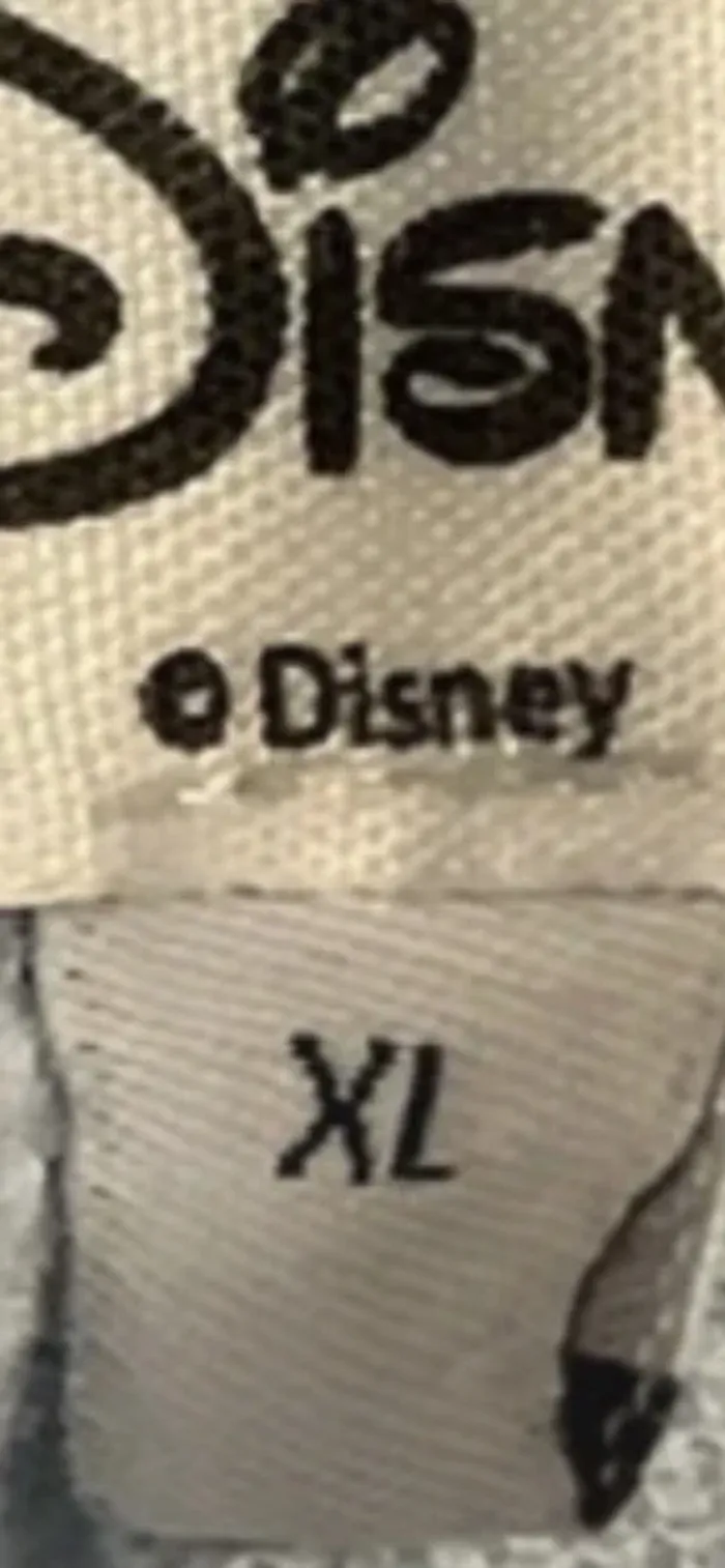 Short Disney - photo numéro 2