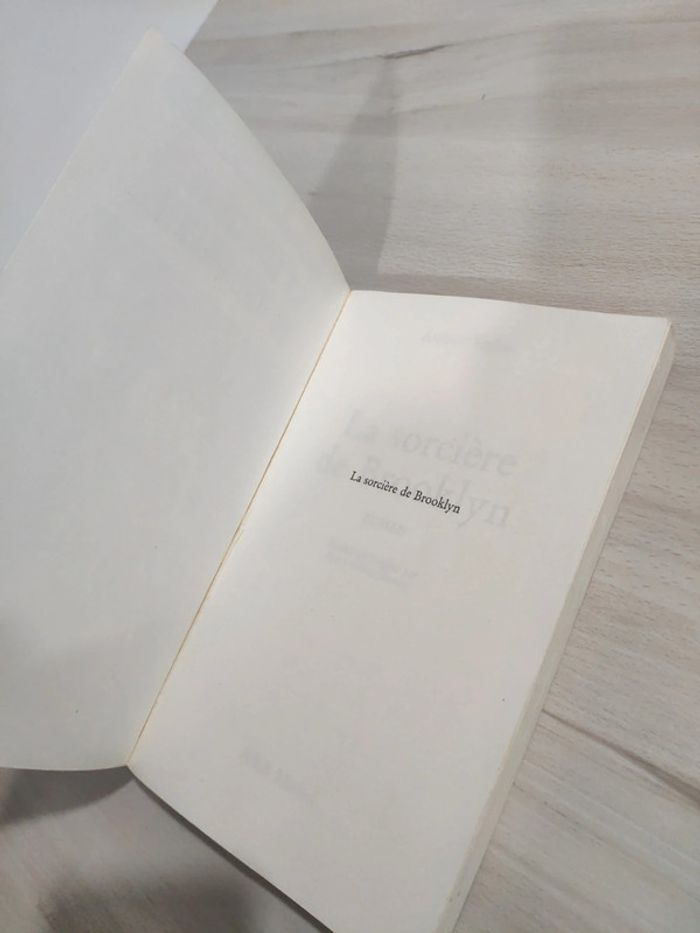 Livre grand format La sorcière de Brooklyn Vachss - photo numéro 7