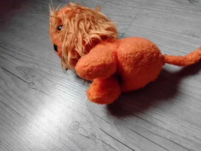 Lion 🦁 - photo numéro 4