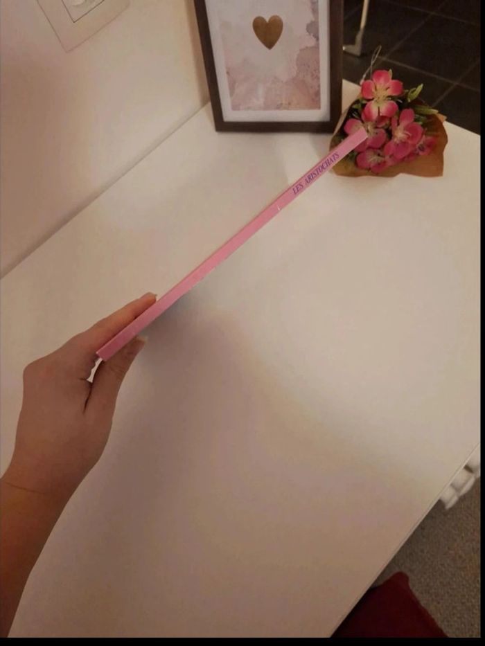 Livre Disney les Aristochats en bon état - photo numéro 4