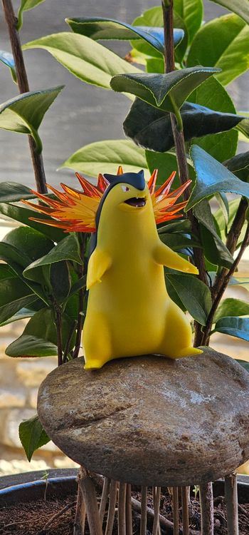 Super figurine Pokemon Nintendo scale world Typhlosion 
