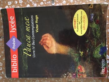 pauca meae victor hugo