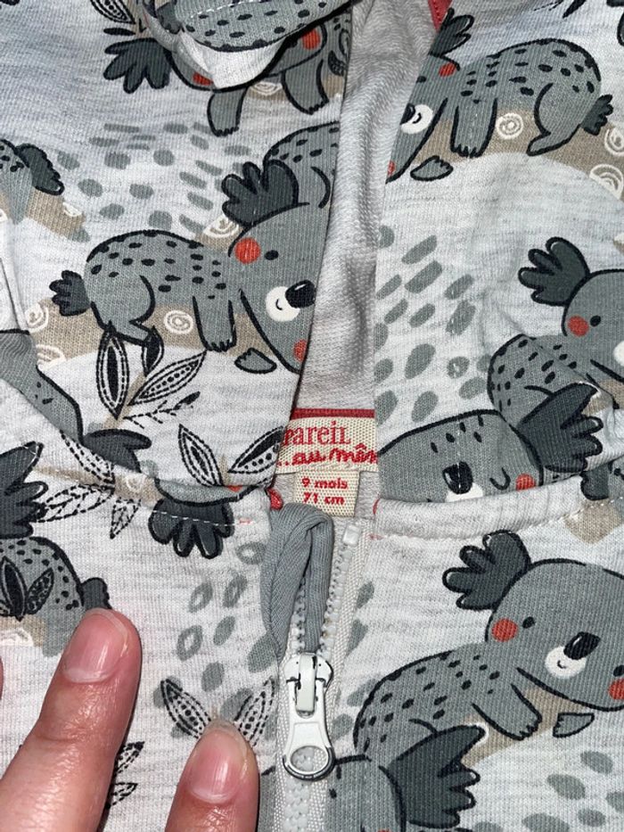 Ensemble 🐨 - photo numéro 3