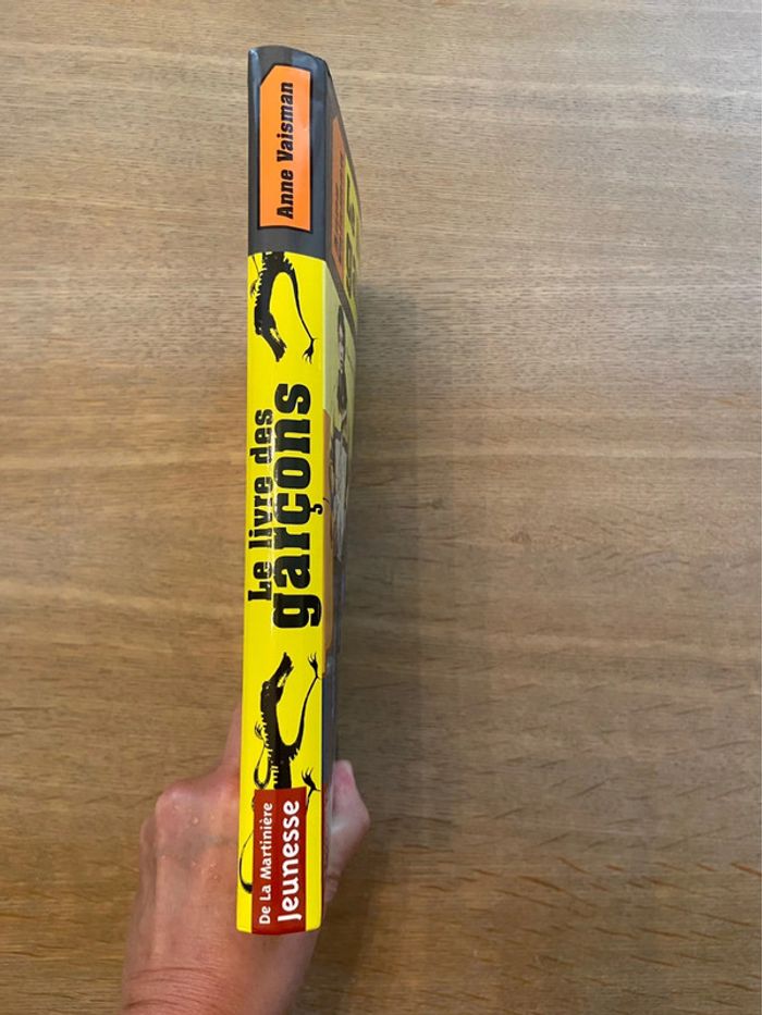 « Le livre des garçons » Anne Vaisman - photo numéro 3