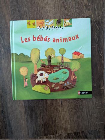 Livre kididoc Les bébés animaux n°29