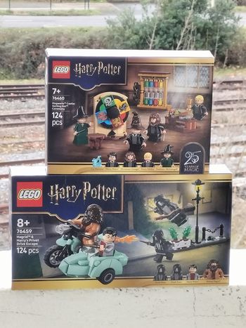 Lego Harry Potter hagrid et Harry s'échappent de privet drive et la cérémonie du choixpeau magique 