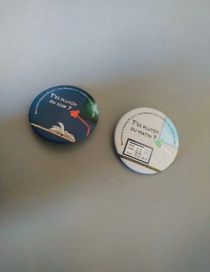 Lot de deux badges sciences PO Lille