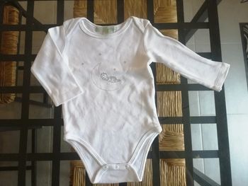 Body girafe sur la lune