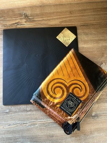 Drapeau tomorrowland