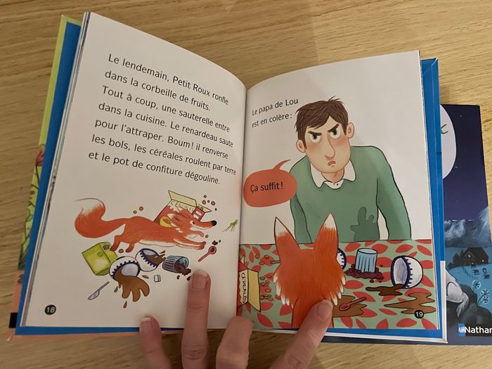 Lot livres premières lectures Les animaux de Lou - photo numéro 5