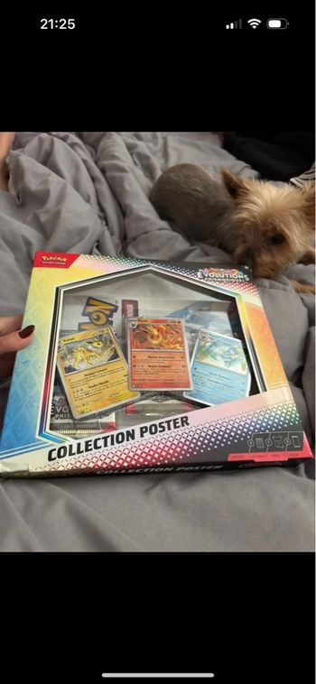 Coffret Pokémon