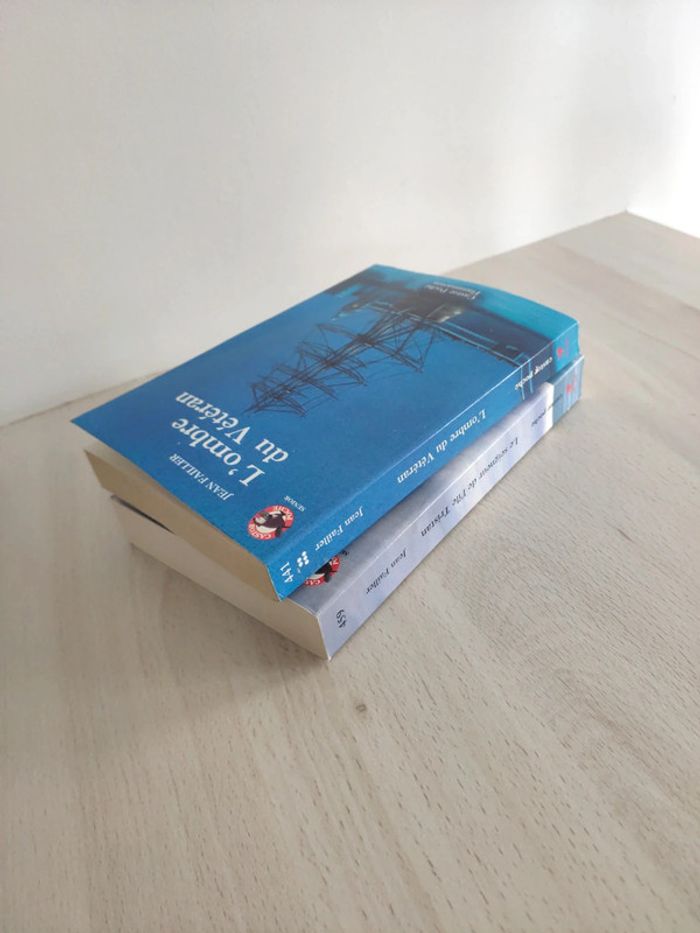 Lot deux livres jeunesse Failler l'ombre du vétéran seigneur de l'île Tristan Castor poche senior - photo numéro 7