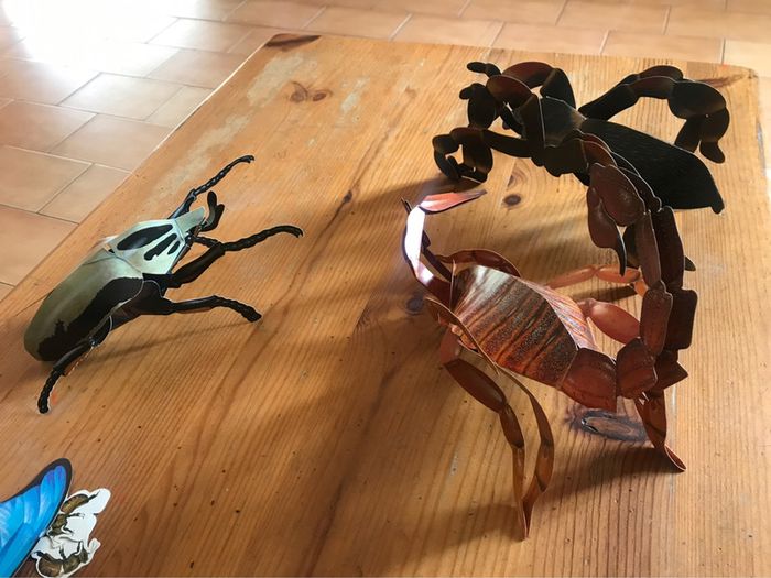 Livre « les insectes » en 3 D - photo numéro 4