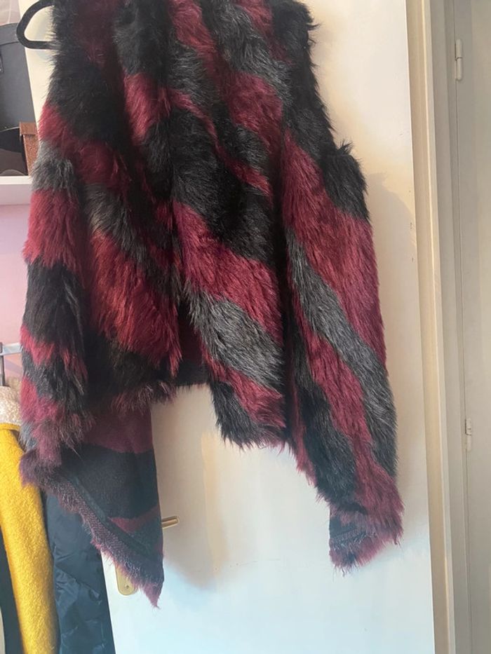 Veste sans manche à fourrure - photo numéro 3