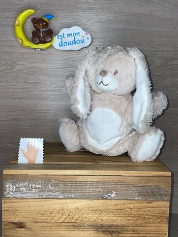 TEX231 doudou lapin 🐰 tex