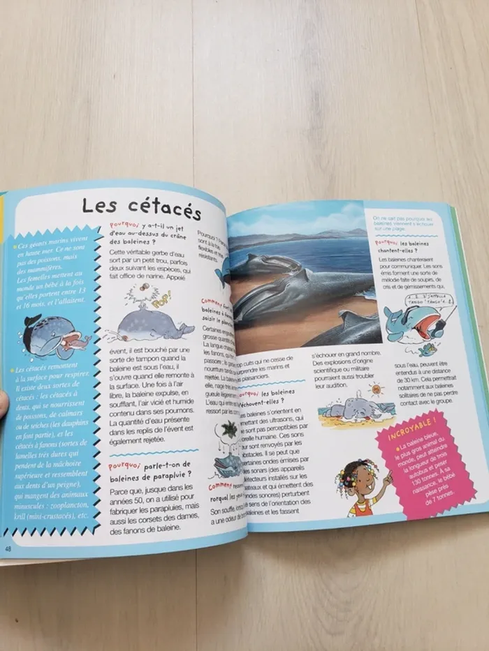 Pourquoi comment ? La mer - photo numéro 3