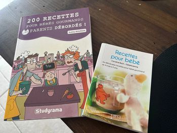 200 recettes pour bébés gourmands et parents débordés