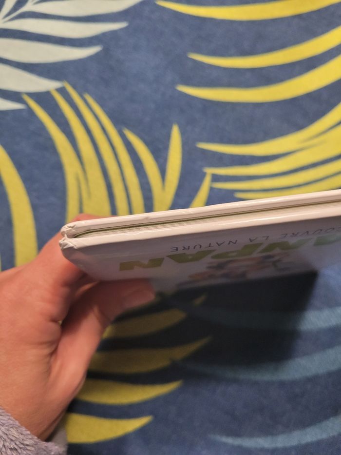 Livre panpan découvre la nature Disney mes premières histoires - photo numéro 4