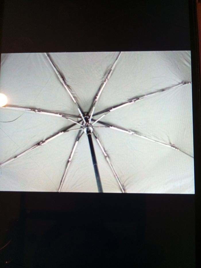 Parapluie johnny Hallyday - photo numéro 3