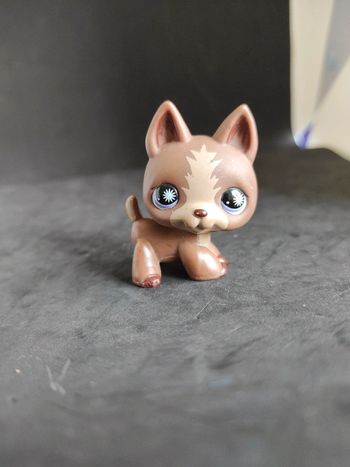 Littlest Petshop LPs 867 chien Berger Allemand German Shepherd dog #geektradelps