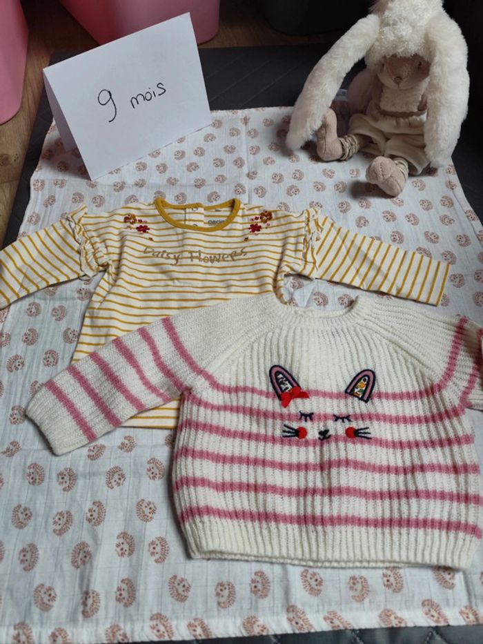 Lot de 2 pulls 9 mois