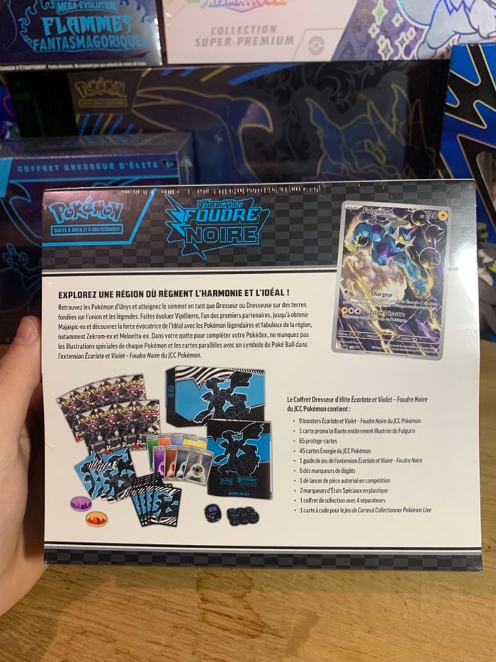 ETB Foudre Noire - photo numéro 2