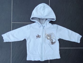 Joli sweeat à capuche zippé garçon 12 mois (74 cm)