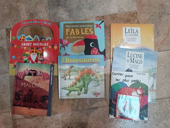 Lot de 8 livres enfant