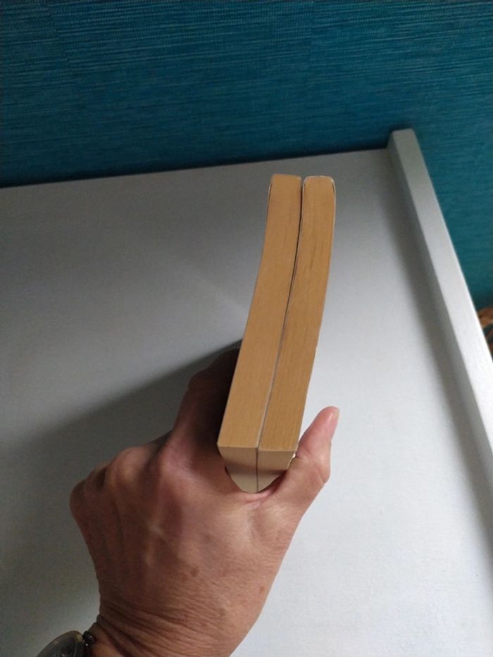 Le livre des Étoiles d'Erik L'homme - photo numéro 5