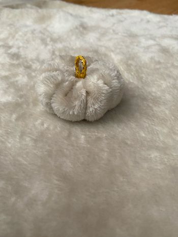 Citrouille fausse fourrure