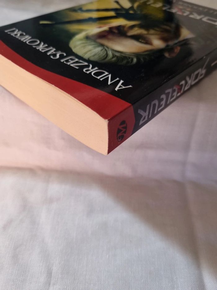 Sorceleur tome 1 le dernier vœu - photo numéro 3