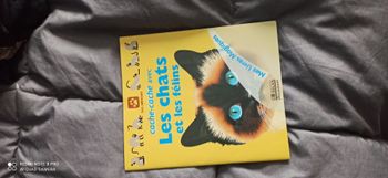 Livre cache cache avec les chats et les félins