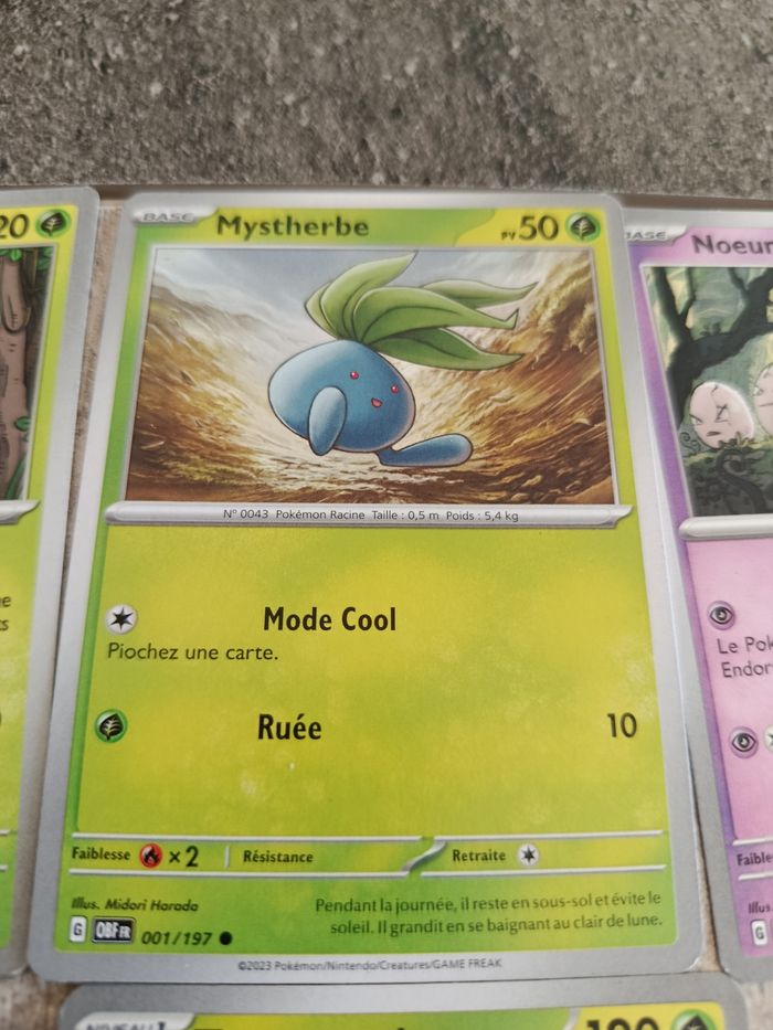 Carte pokémon et dresseurs - photo numéro 3