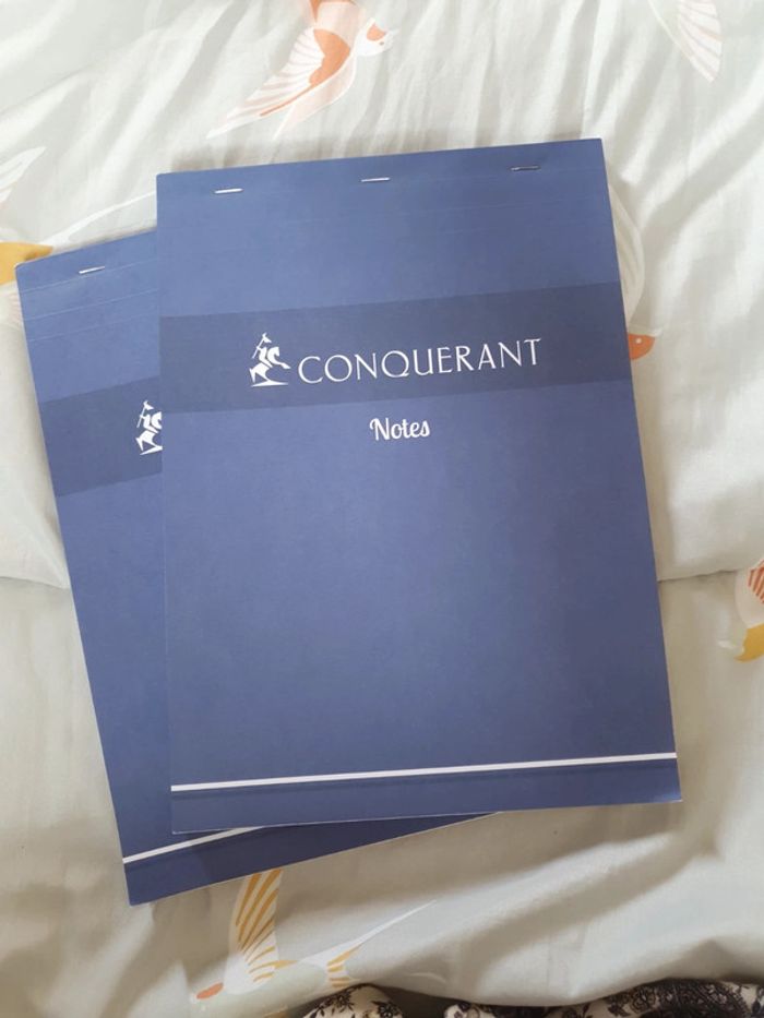 Lot de 2 bloc notes A4 conquérant