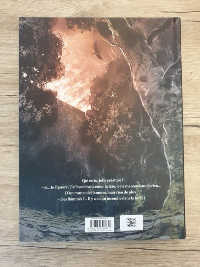 Bande dessinée Brindille - photo numéro 3