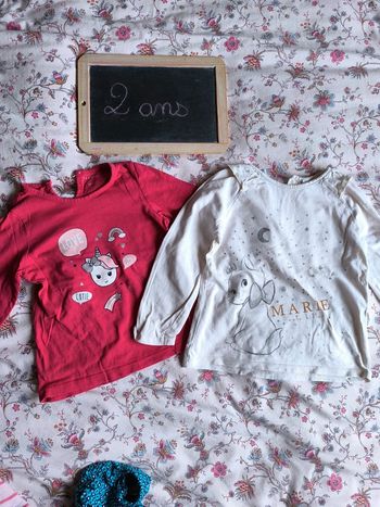 Lot de deux t-shirt manches longues taille 2 ans en très bon état