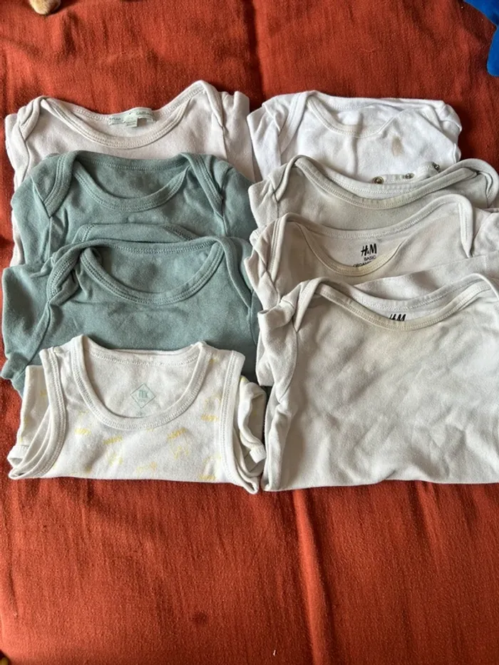 Lot bodies