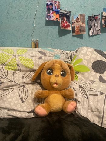 peluche chien enfant emotion pets