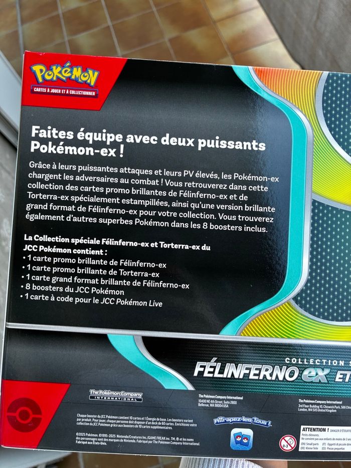 Coffret Félinferno Ex et Torterra Ex - photo numéro 2