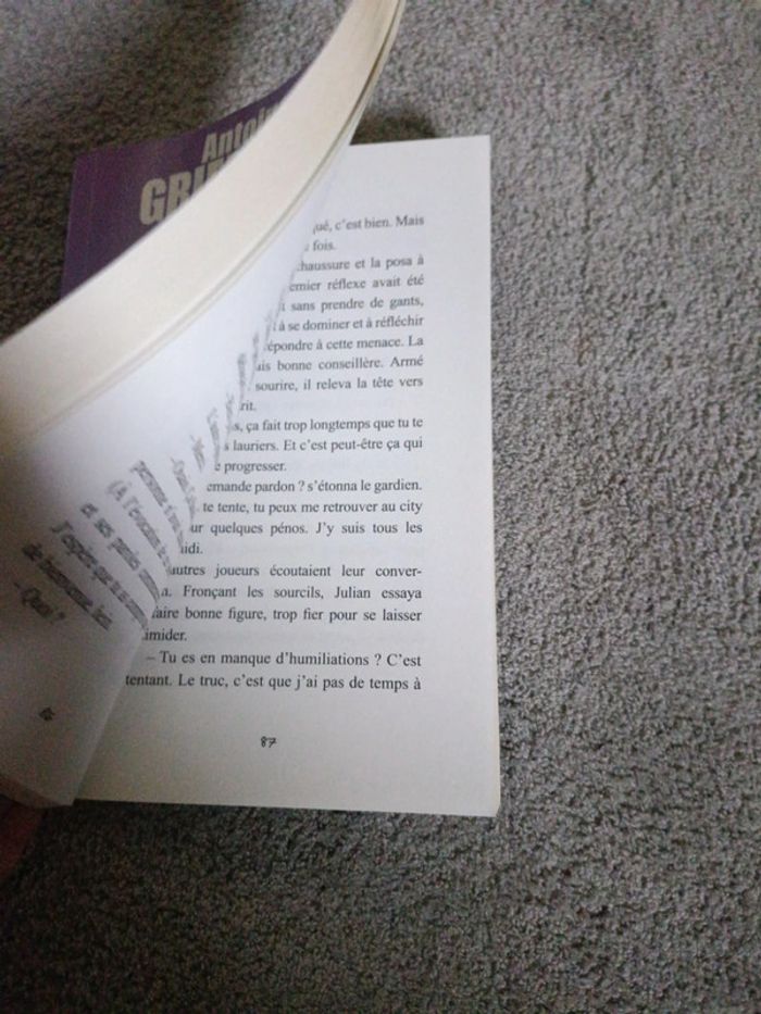 Livre Antoine Griezmann Goal - photo numéro 3