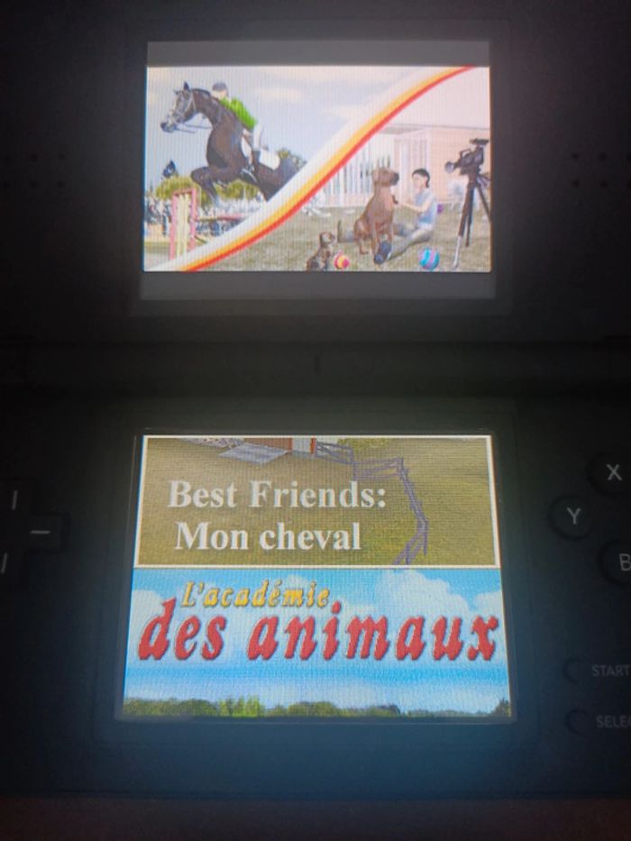 Jeu Nintendo DS 2 jeux en 1 l'Académie des animaux / Best Friends mon cheval - photo numéro 5