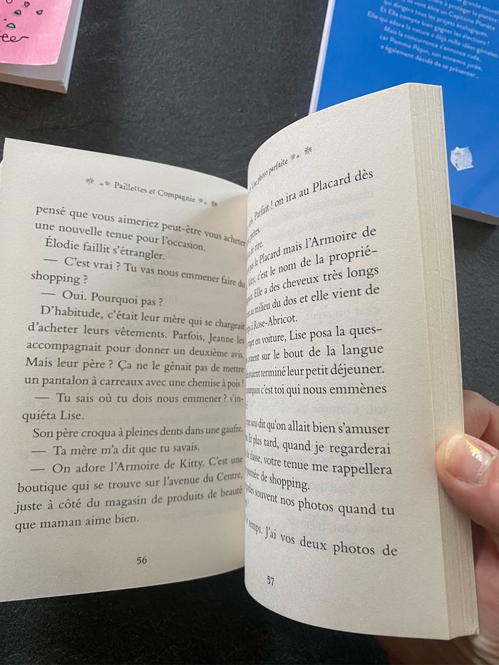 Paillettes et compagnie une photo parfaite - photo numéro 4