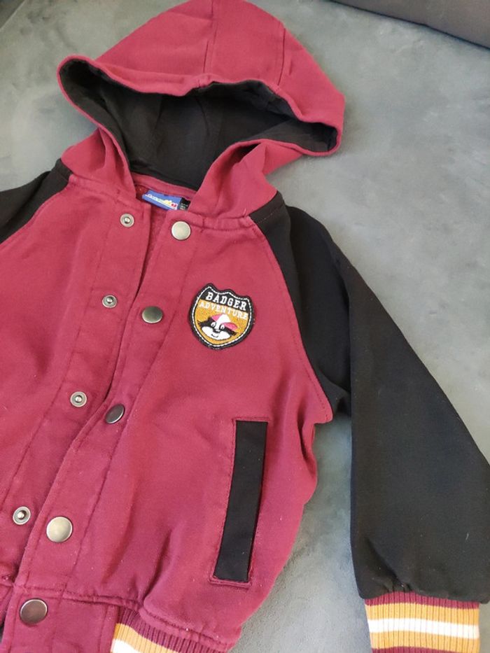 Gilet à capuche - photo numéro 2