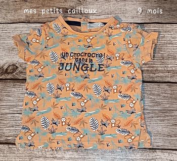 Tee-shirt Neuf  Mes petits cailloux 9 mois