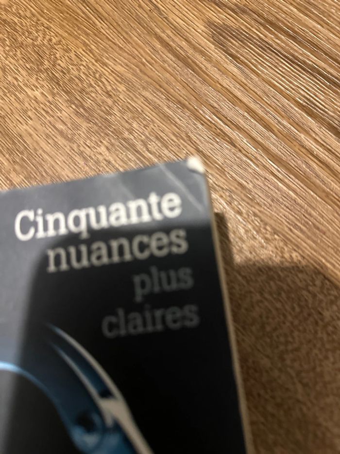 Livre cinquante nuances de grey - photo numéro 5